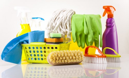 Professional stain removal for carpets and upholstery in SW9