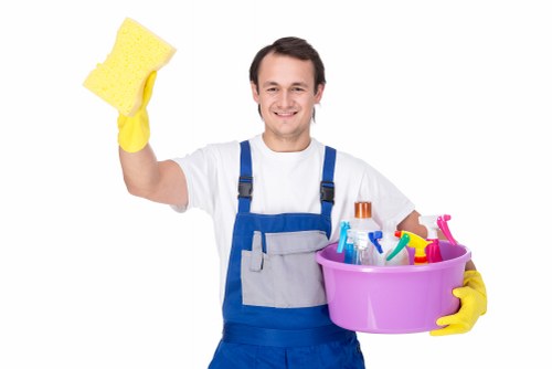 Browser controls for managing cookies on Cleaners SW9