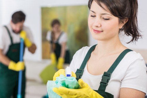 Local cleaner treating a sofa in a South London property