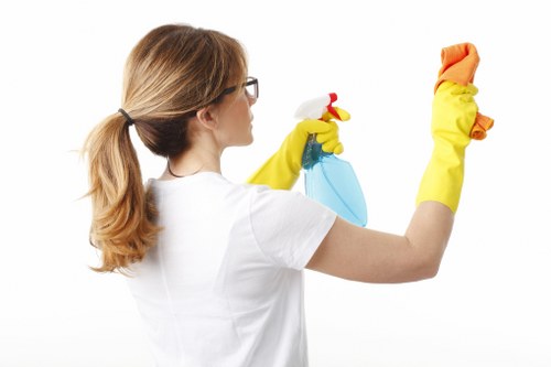 Residential upholstery and carpet stain treatment in SW9