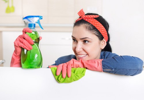 Trusted About Us Cleaners SW9 delivering quality results
