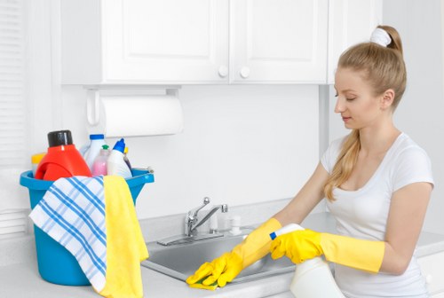 Regular cleaning tasks including dusting, vacuuming, and bathroom care