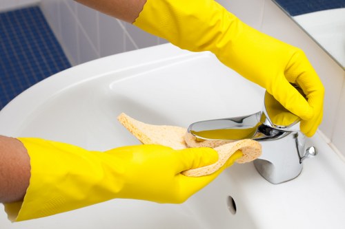 Bathroom sanitising as part of a move-in clean in SW9