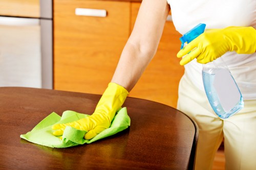 Deep cleaning equipment used for pet odour removal on upholstery